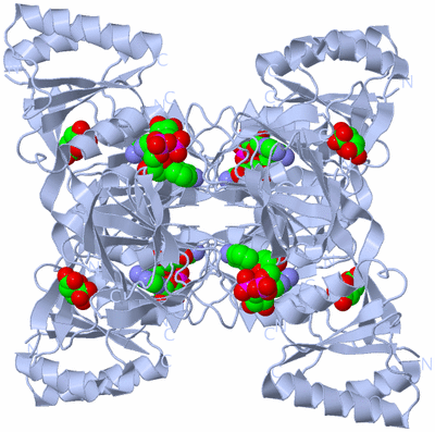 Image Biological Unit 1