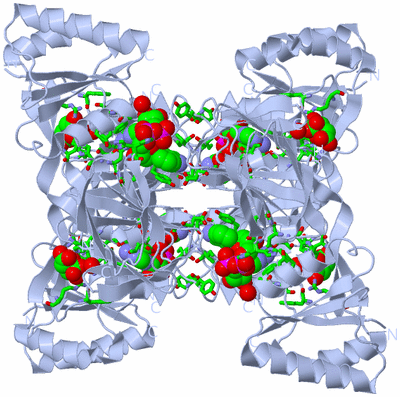 Image Biol. Unit 1 - sites