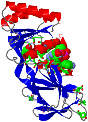 Image Asym. Unit - sites