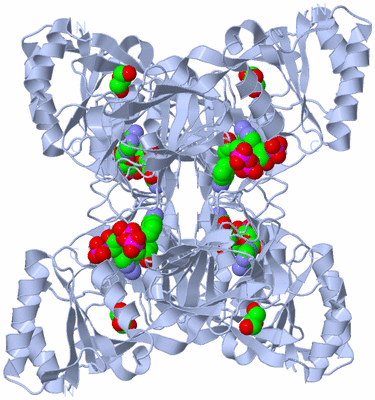 Image Biological Unit 1