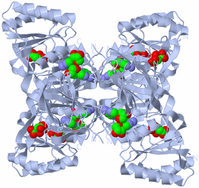 Image Biological Unit 1