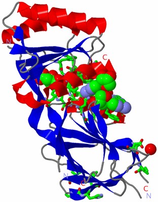 Image Asym. Unit - sites