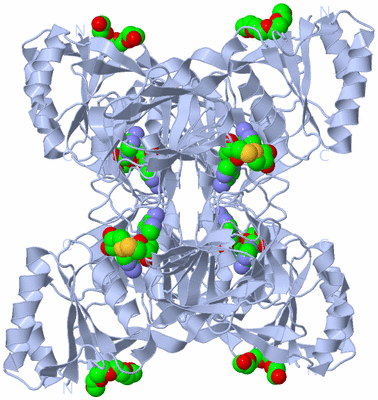 Image Biological Unit 1