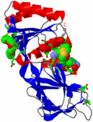 Image Asym. Unit - sites