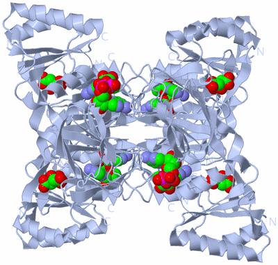 Image Biological Unit 1