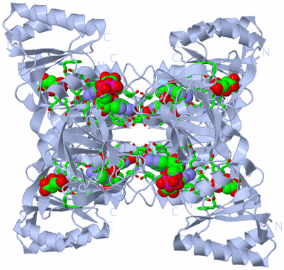 Image Biol. Unit 1 - sites