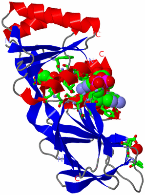 Image Asym. Unit - sites