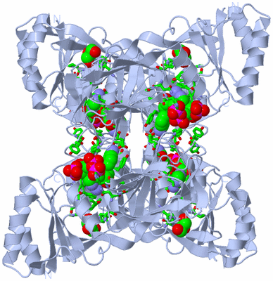 Image Biol. Unit 1 - sites