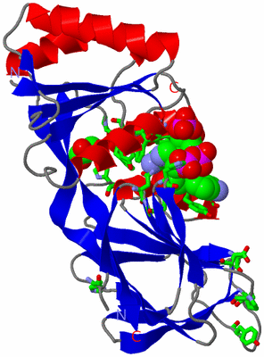 Image Asym. Unit - sites