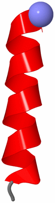 Image NMR Structure - model 1