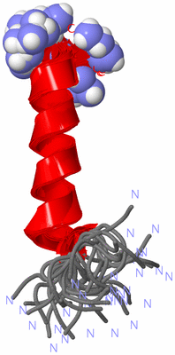 Image NMR Structure - all models