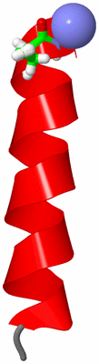 Image NMR Structure - model 1, sites