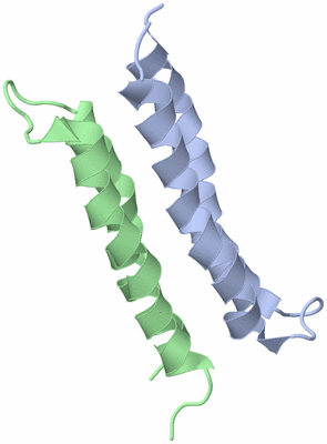 Image NMR Structure - model 1