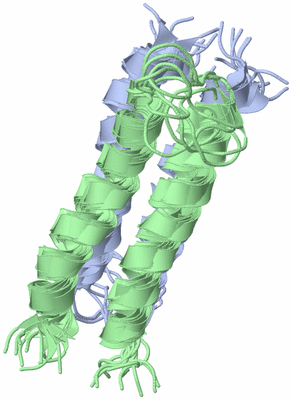 Image NMR Structure - all models