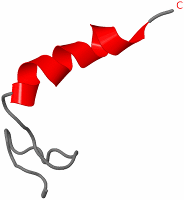 Image NMR Structure - model 1