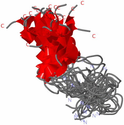 Image NMR Structure - all models