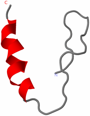 Image NMR Structure - model 1