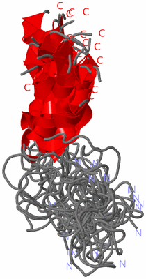 Image NMR Structure - all models