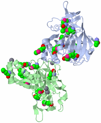 Image Biological Unit 1