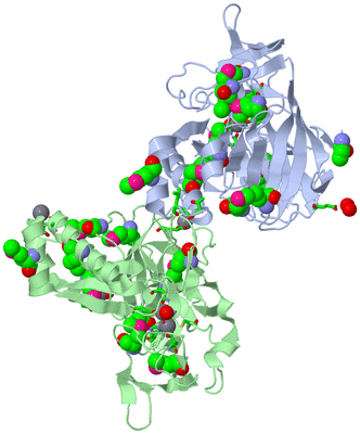 Image Biol. Unit 1 - sites