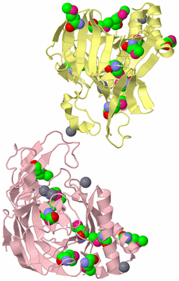 Image Biological Unit 2