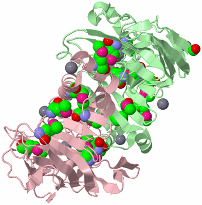 Image Biological Unit 3