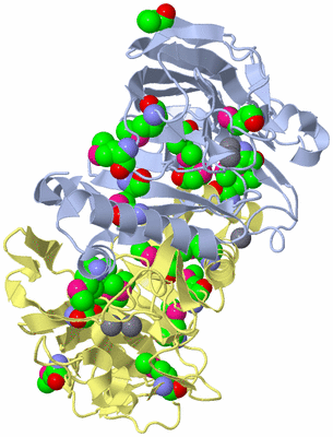 Image Biological Unit 4