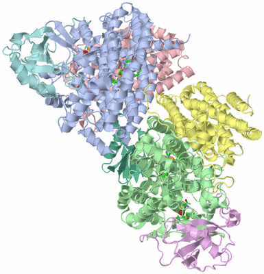 Image Asym./Biol. Unit - sites