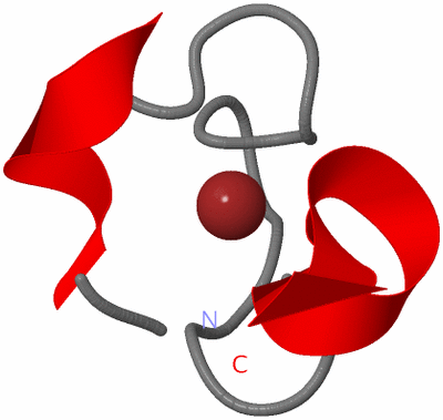 Image NMR Structure - model 1