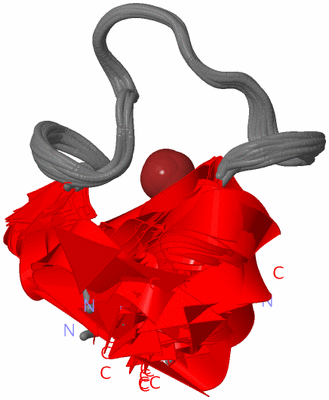 Image NMR Structure - all models