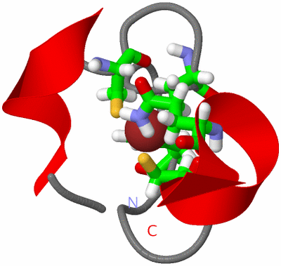 Image NMR Structure - model 1, sites