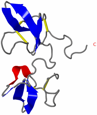 Image NMR Structure - model 1