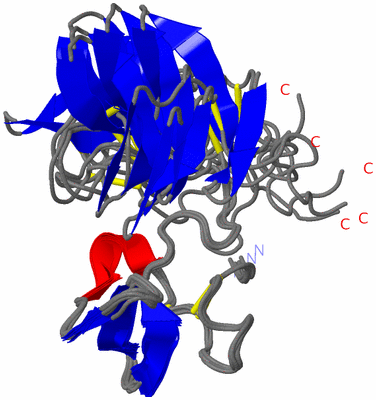 Image NMR Structure - all models