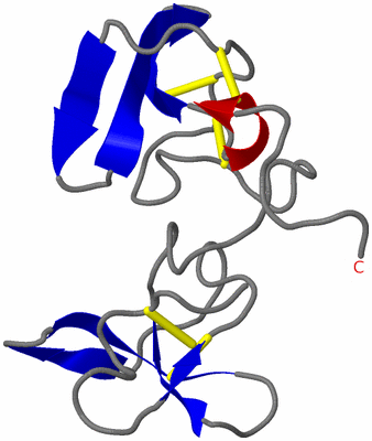 Image NMR Structure - model 1