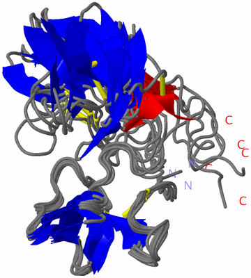 Image NMR Structure - all models