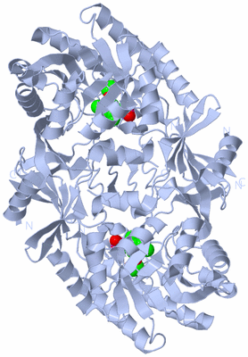 Image Biological Unit 1