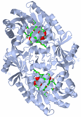 Image Biol. Unit 1 - sites