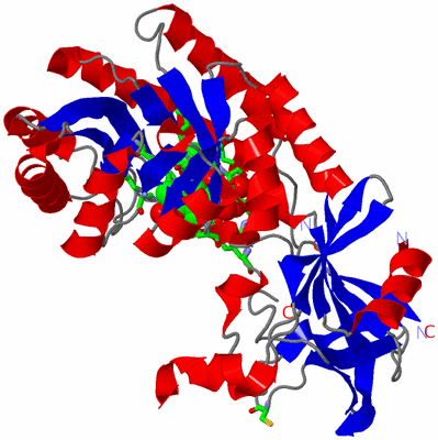 Image Asym. Unit - sites