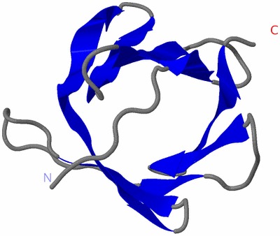 Image NMR Structure - model 1