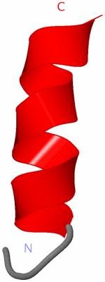 Image NMR Structure - model 1