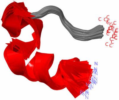 Image NMR Structure - all models