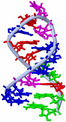 Image NMR Structure - model 1