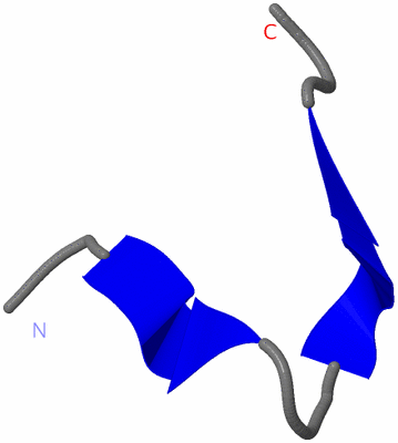 Image NMR Structure - model 1