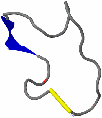 Image NMR Structure - model 1