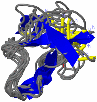 Image NMR Structure - all models