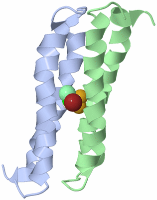 Image NMR Structure - model 1