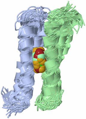 Image NMR Structure - all models