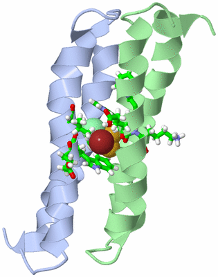 Image NMR Structure - model 1, sites