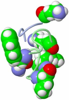 Image NMR Structure - model 1