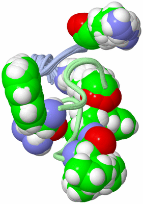 Image NMR Structure - all models